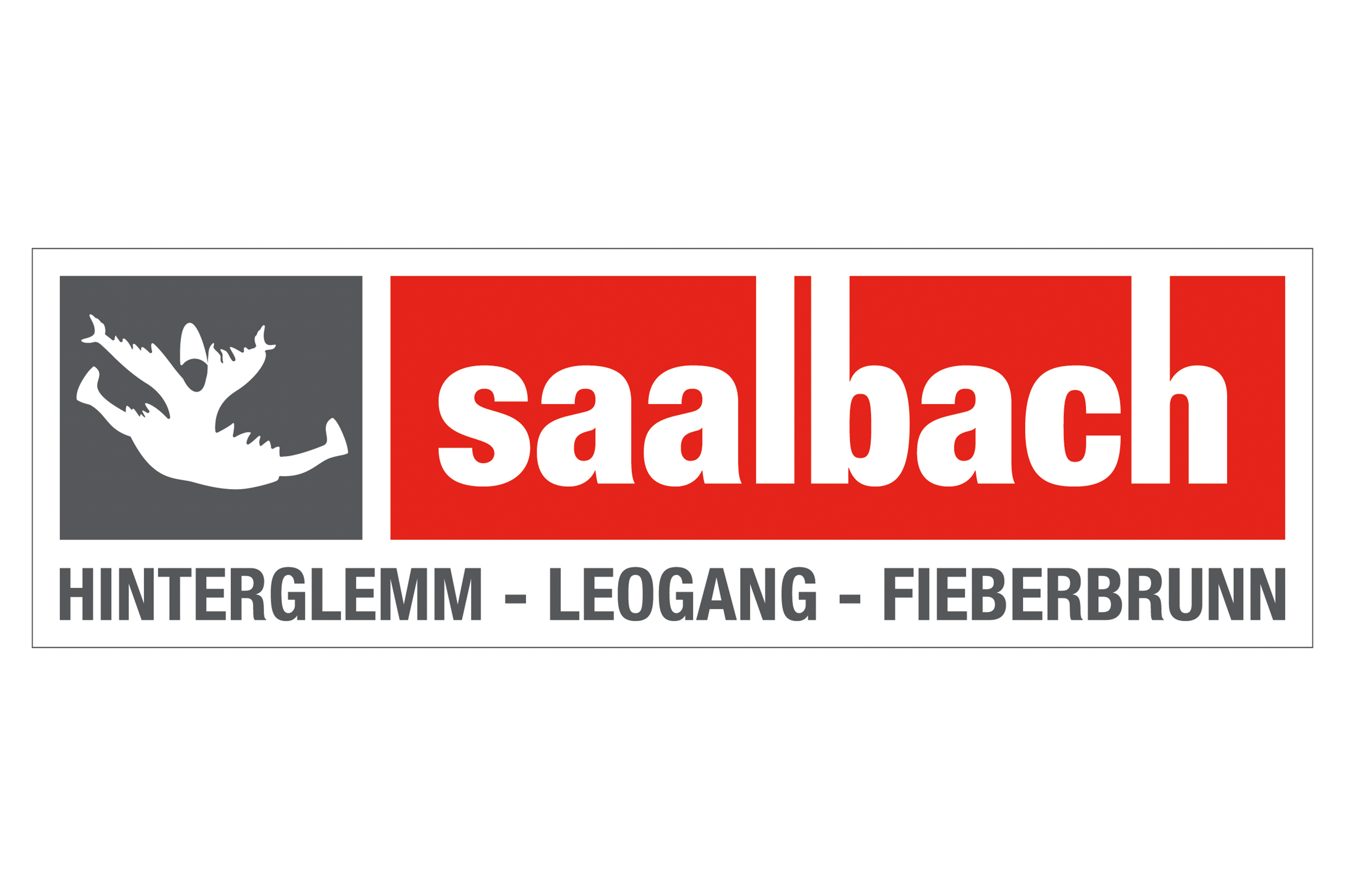 Skicircus Saalbach Hinterglemm Leogang Fieberbrunn